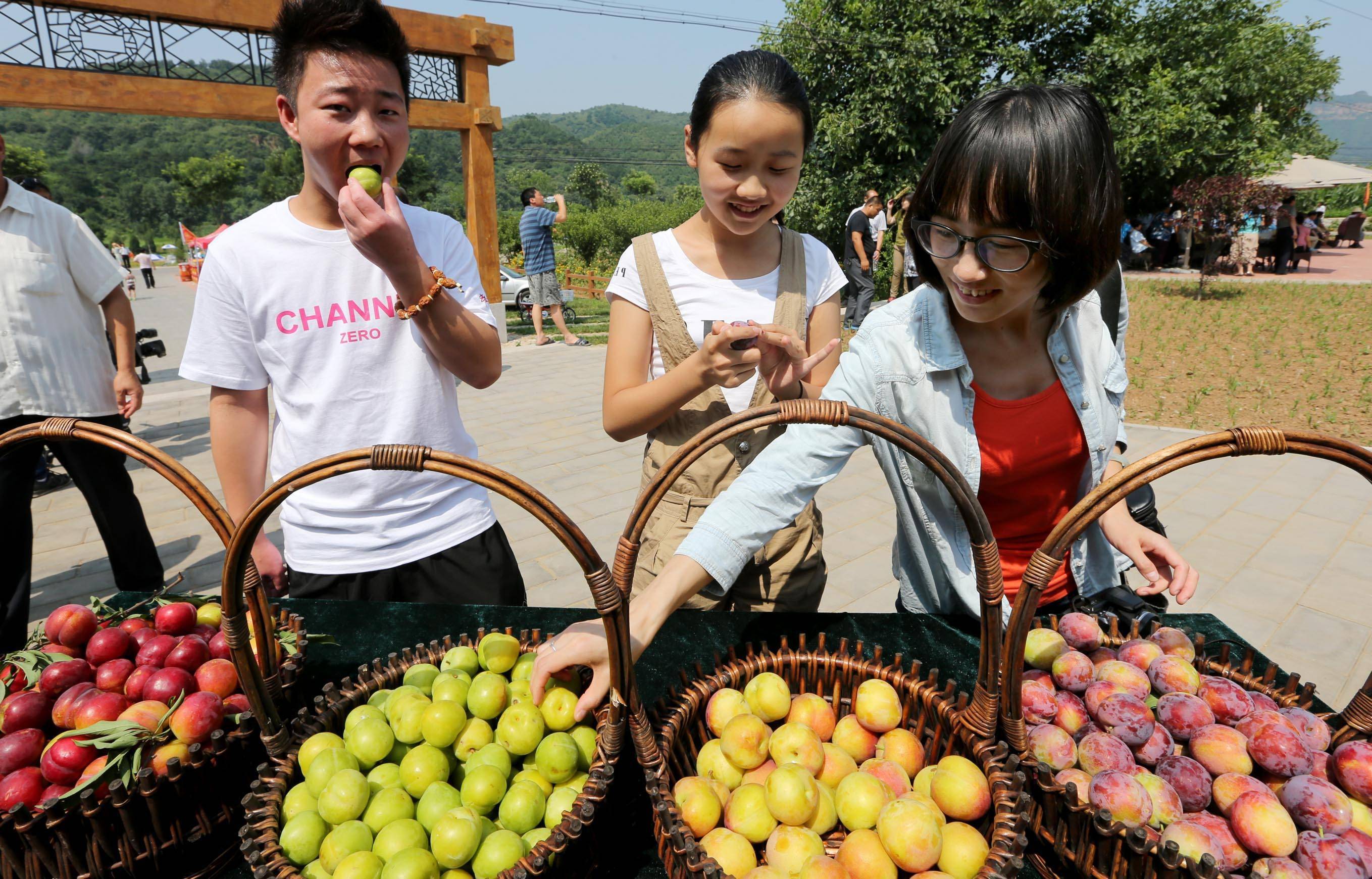 【ky开元集团】
国家林草局开展“采摘果园一张图”试点(图5)