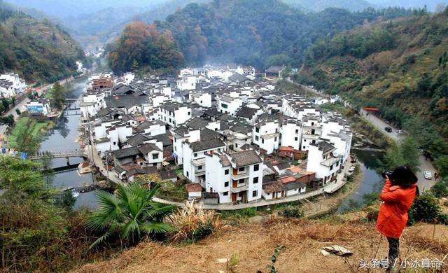 【壮丽七十年|人物】杨剑萍:扎根在西藏,像青冈树一样四季常青-KY开元集团官网(图3) KY开元集团官网