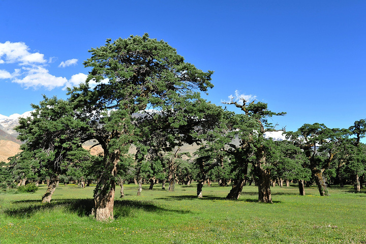 我校召开学生资助工作表彰大会暨优秀学生事迹报告会‘KY开元集团官网’(图2) KY开元集团官网